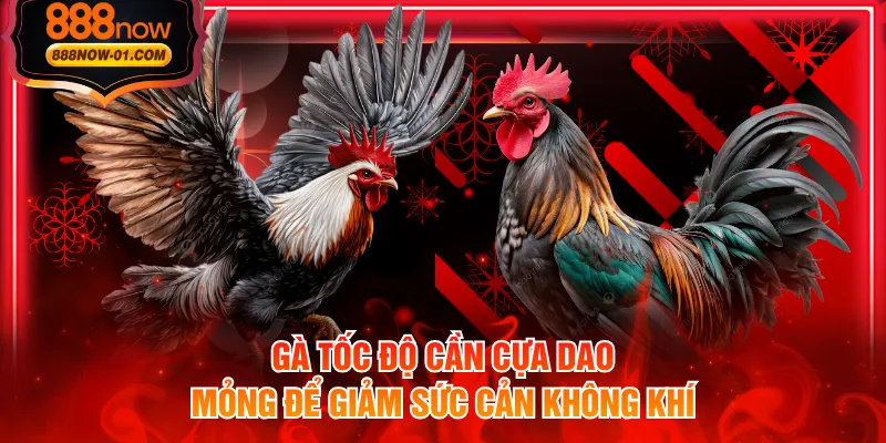 Gà tốc độ cần cựa dao mỏng để giảm sức cản không khí